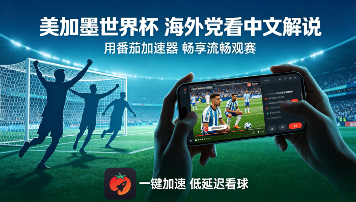 在韩国看世界杯无法播放教程